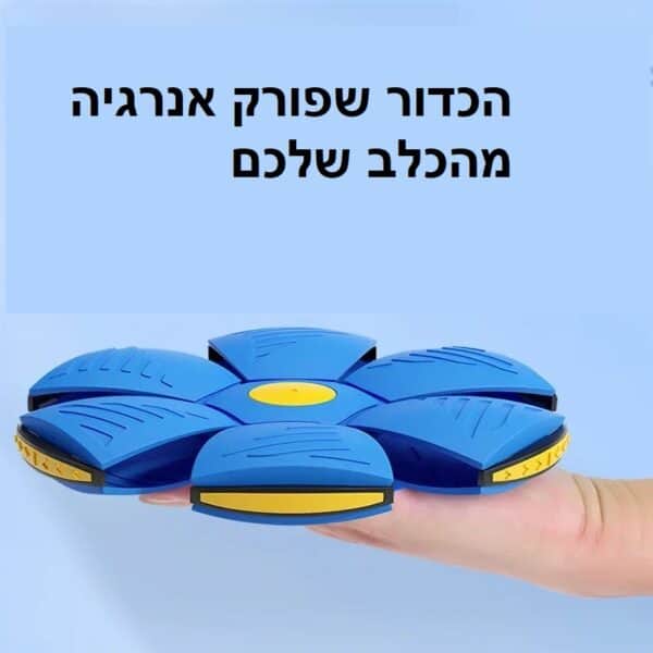 ⁦כדור המהפכני לכלב ולמשפחה⁩ – תמונה ⁦4⁩