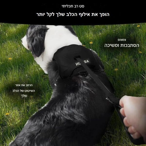 ⁦רתמה עם רצועה לכלב⁩ – תמונה ⁦5⁩