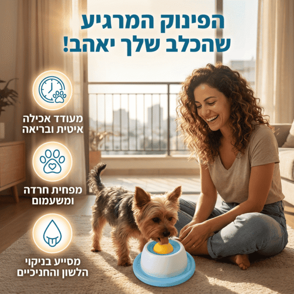 העוזר לשקט נפשי ופחות שעמום בבית