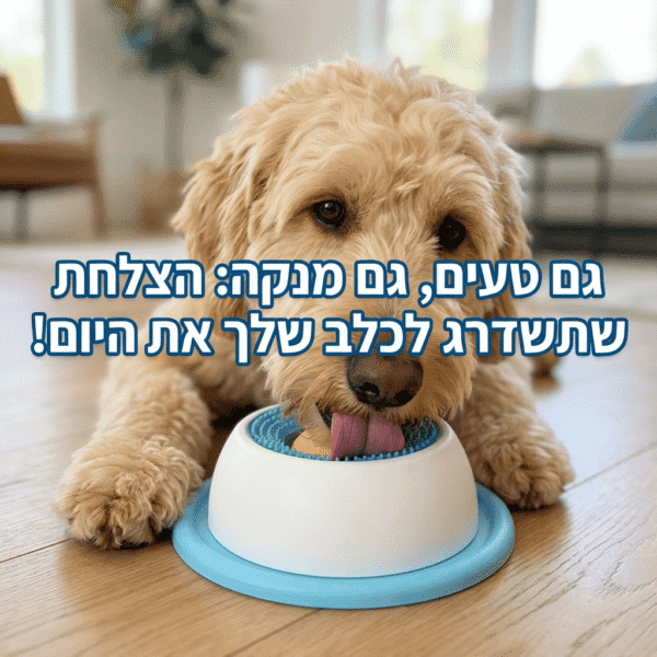 ⁦העוזר לשקט נפשי ופחות שעמום בבית⁩ – תמונה ⁦2⁩