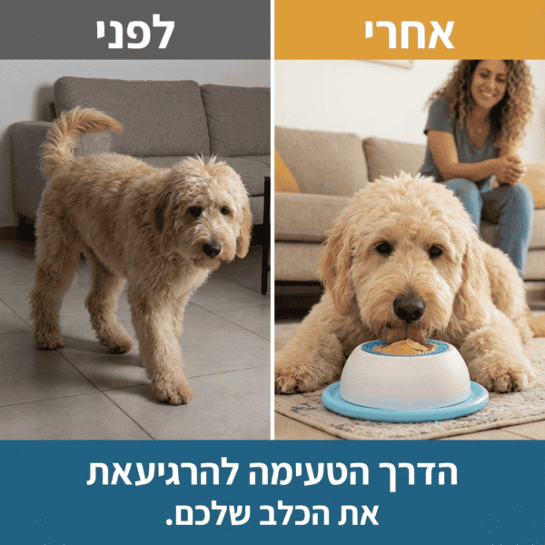 ⁦העוזר לשקט נפשי ופחות שעמום בבית⁩ – תמונה ⁦5⁩