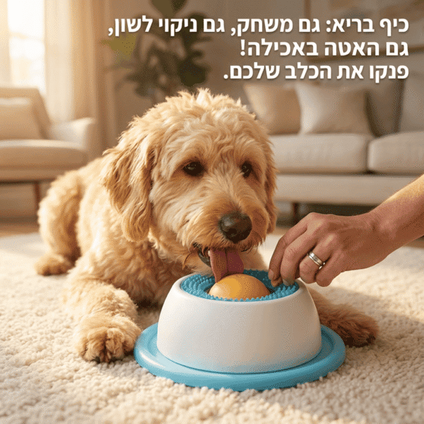 ⁦העוזר לשקט נפשי ופחות שעמום בבית⁩ – תמונה ⁦4⁩