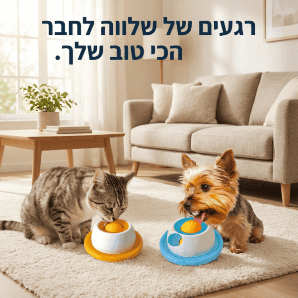 ⁦העוזר לשקט נפשי ופחות שעמום בבית⁩ – תמונה ⁦3⁩