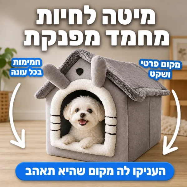 הבית החם והבטוח לחבר הפרוותי